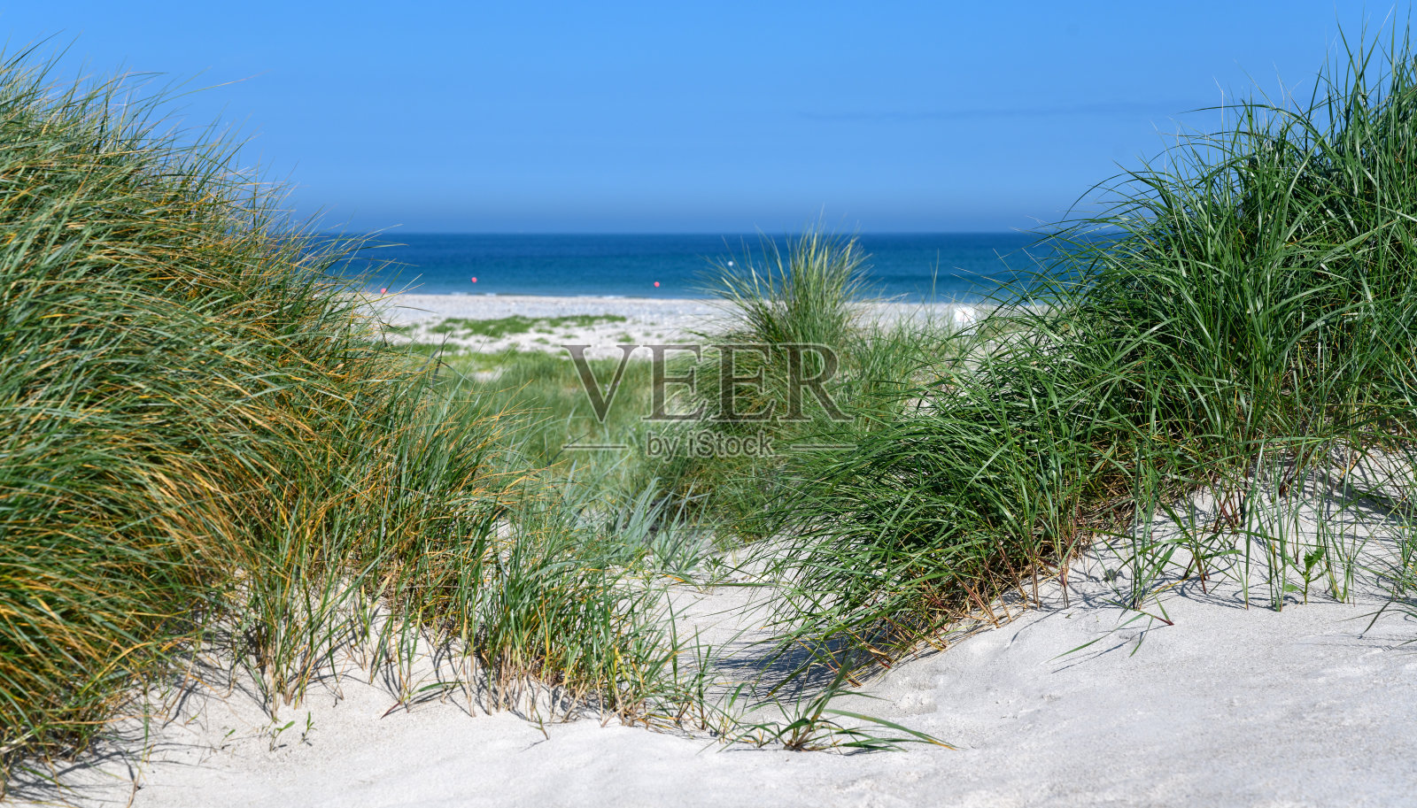 加的斯岛队逆袭赫尔岛,成功取得胜利 加的斯岛队逆袭赫尔岛,成功取得胜利